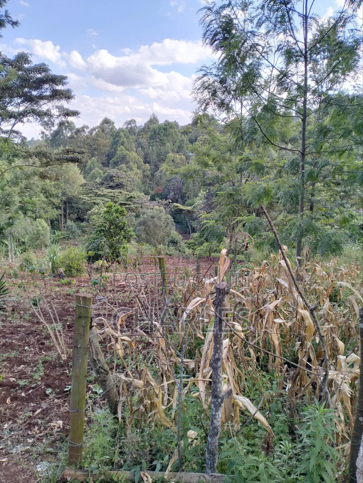 Ngong Town One Acre Land for Sale