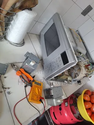 Microwave Magnetron Replacement