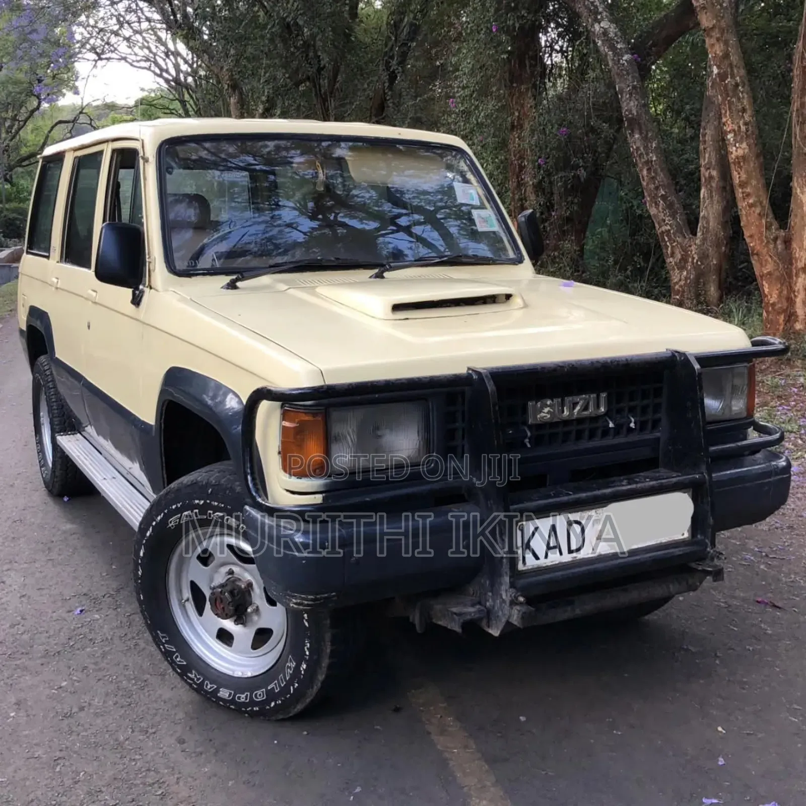 Isuzu Trooper 1994 Beige