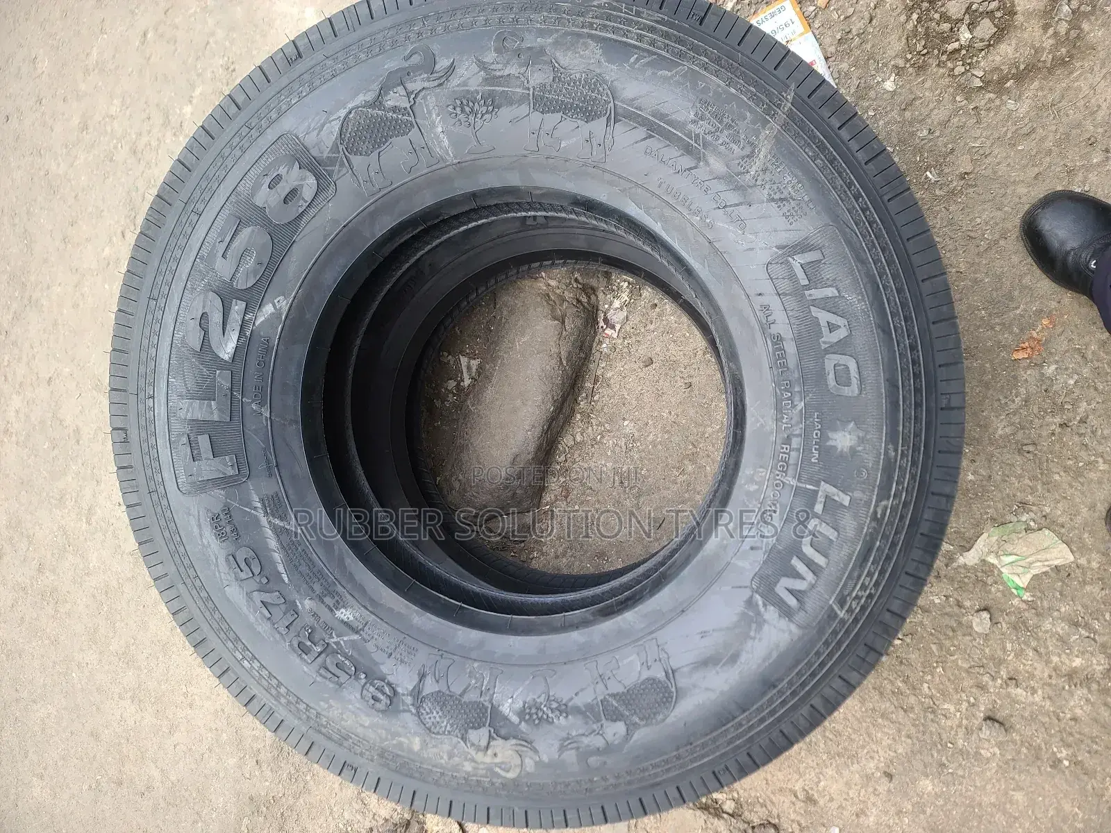 9.5 R17.5 Lionlun Tyres FL258 18Pr