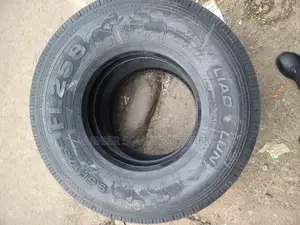 9.5 R17.5 Lionlun Tyres FL258 18Pr