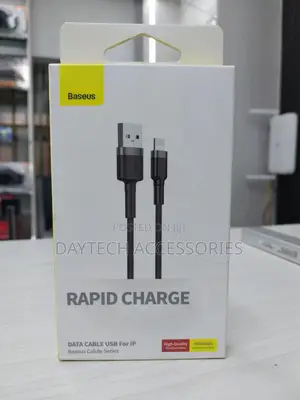 Baseus Usb/Lightning Fast Charging Cable.
