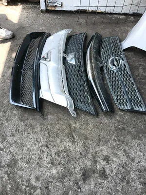 Various Grill Available