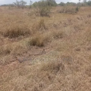 159 Acres Plus 20 Acres Free Area