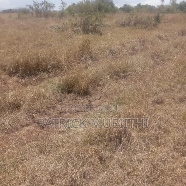 159 Acres Plus 20 Acres Free Area