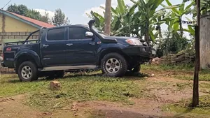Toyota Hilux 2006 Blue