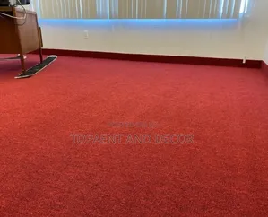Elegant Plush Wall to Wall Carpet for Lounge and Hallwys