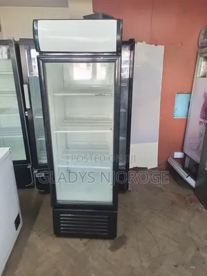 Display 400l ( With Canopy) High Performance