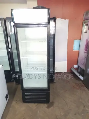 Display 400l ( With Canopy) High Performance