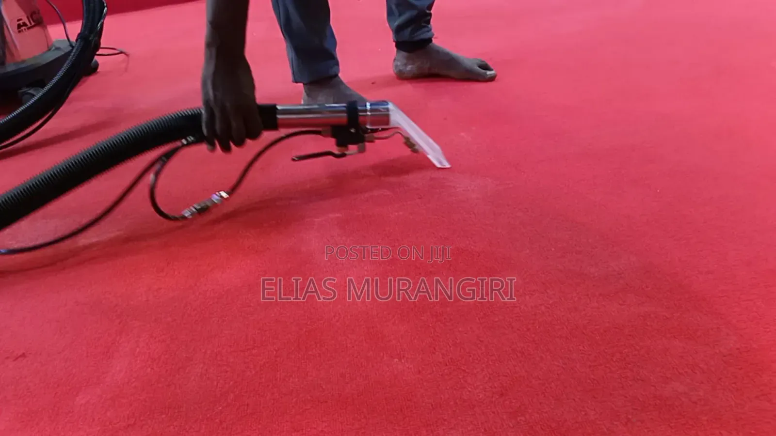 Same Day Wall to Wall Carpet Cleaning
