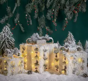 Snow Flocked Lighted Gift Box
