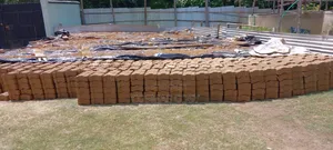 Interlocking Bricks