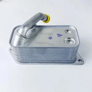 BMW F10,X1,X3,X5,X6,X4 Engine Oil Cooler