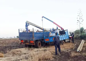 Crane for Heavy Duty Lifting at Hand