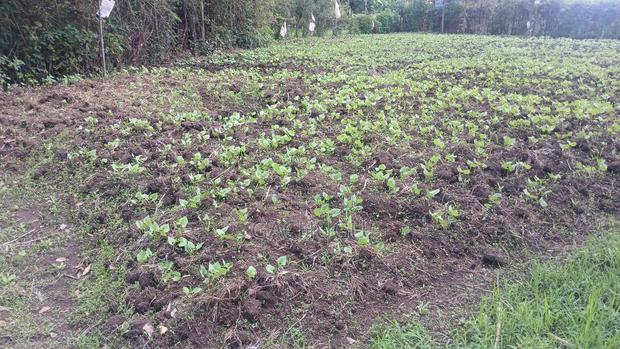 69×100 Land for Sale