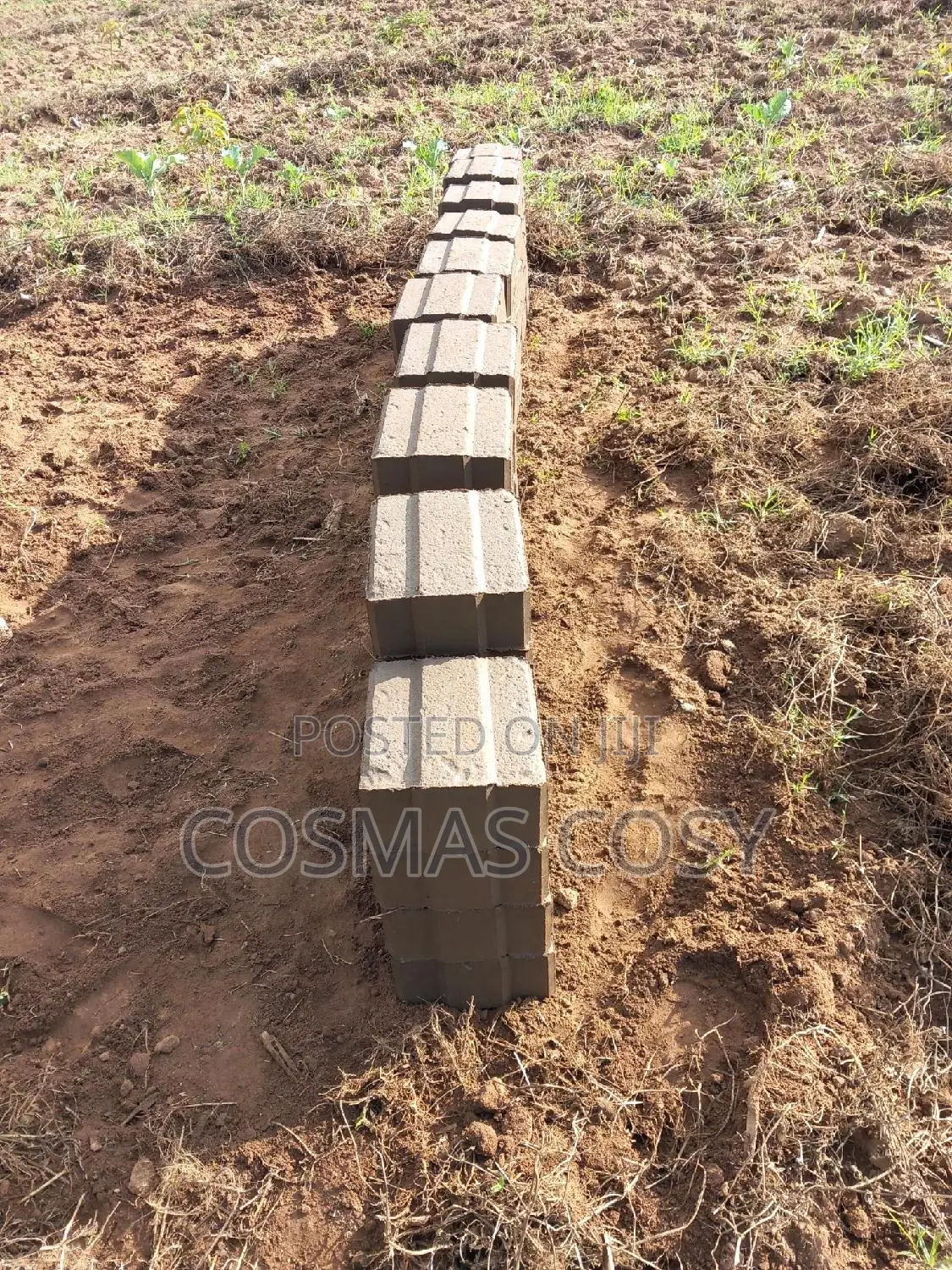Interlocking Bricks