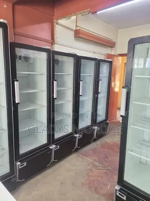 Affordable Chiller in Good Working Condition