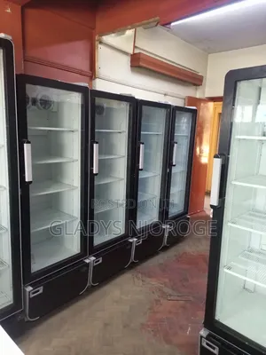 Affordable Chiller in Good Working Condition