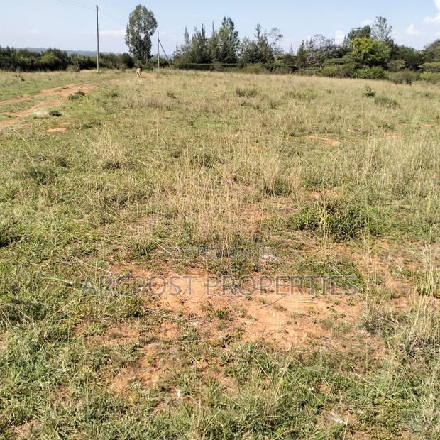 1.5 Acre Plot – Tuala Sholinke (Mixed-Use Land) - thumbnail 3