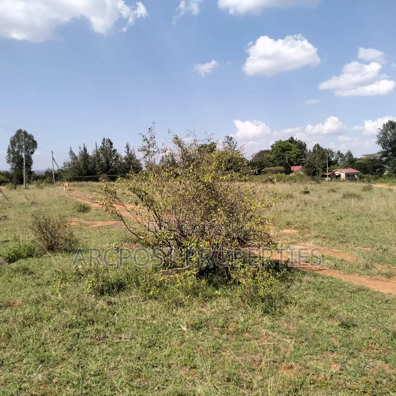 1.5 Acre Plot – Tuala Sholinke (Mixed-Use Land)