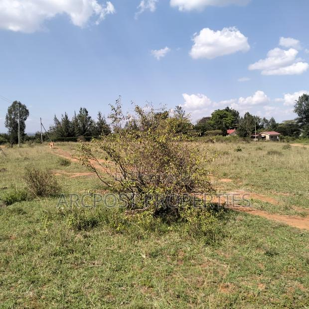 1.5 Acre Plot – Tuala Sholinke (Mixed-Use Land) - thumbnail 4
