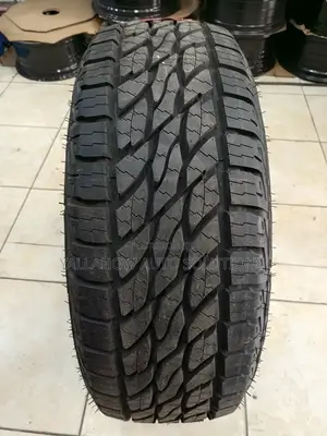 275/70r16 Ecolander Suv Tyres – Durable Off-Road Companion