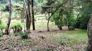 0.7 Acre Plot for Sale in Gachie