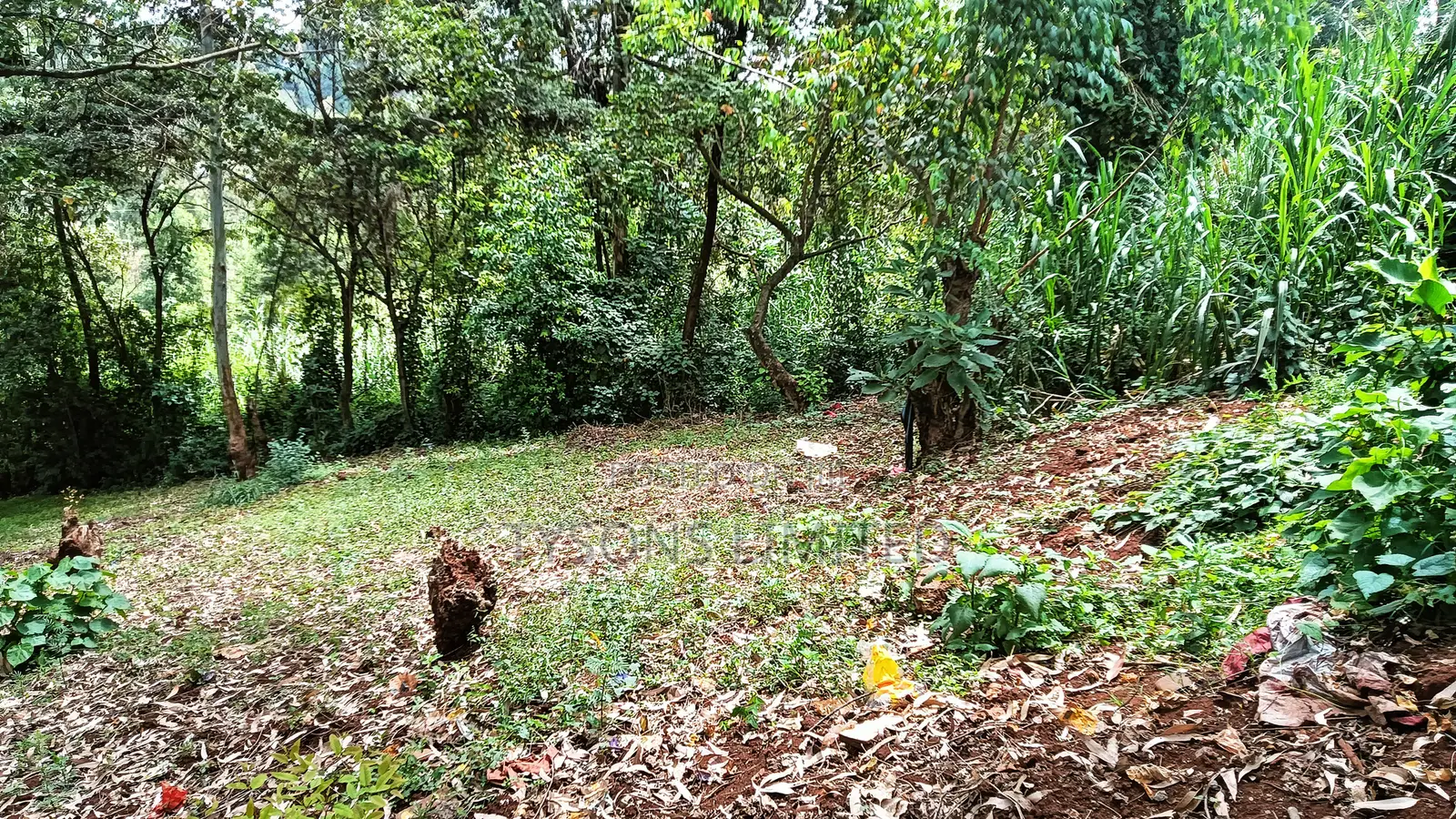 0.7 Acre Plot for Sale in Gachie