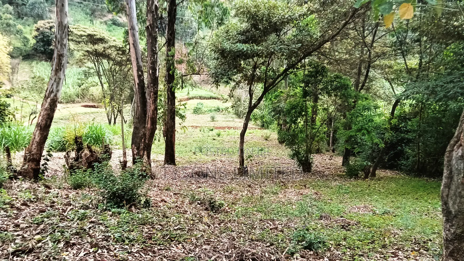 0.7 Acre Plot for Sale in Gachie