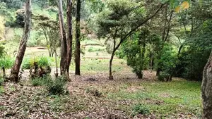 0.7 Acre Plot for Sale in Gachie