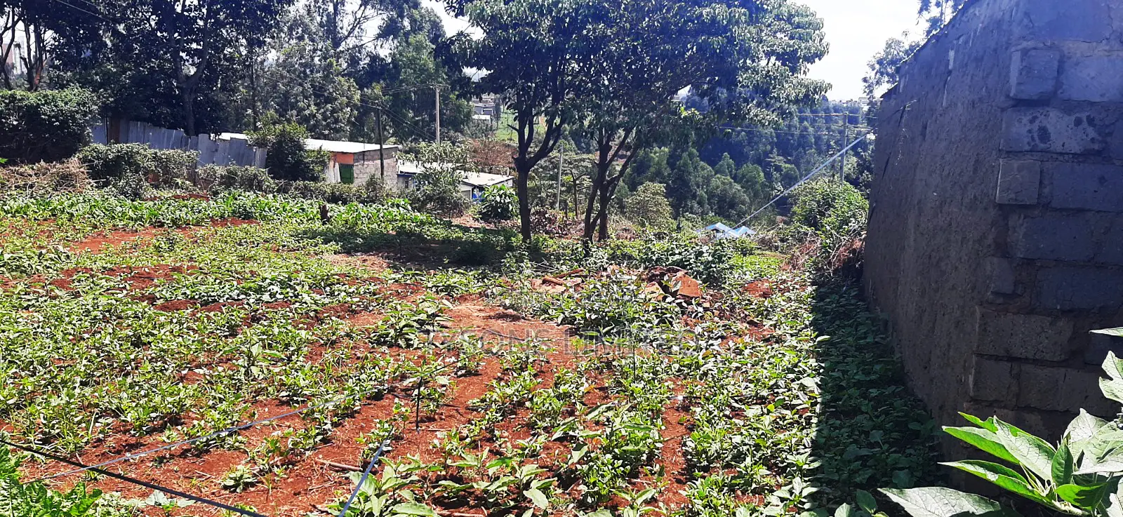 Plot for Sale at Gachie
