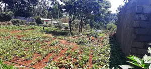 Plot for Sale at Gachie