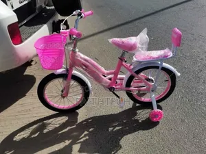 Size 16 Ladybird Bike