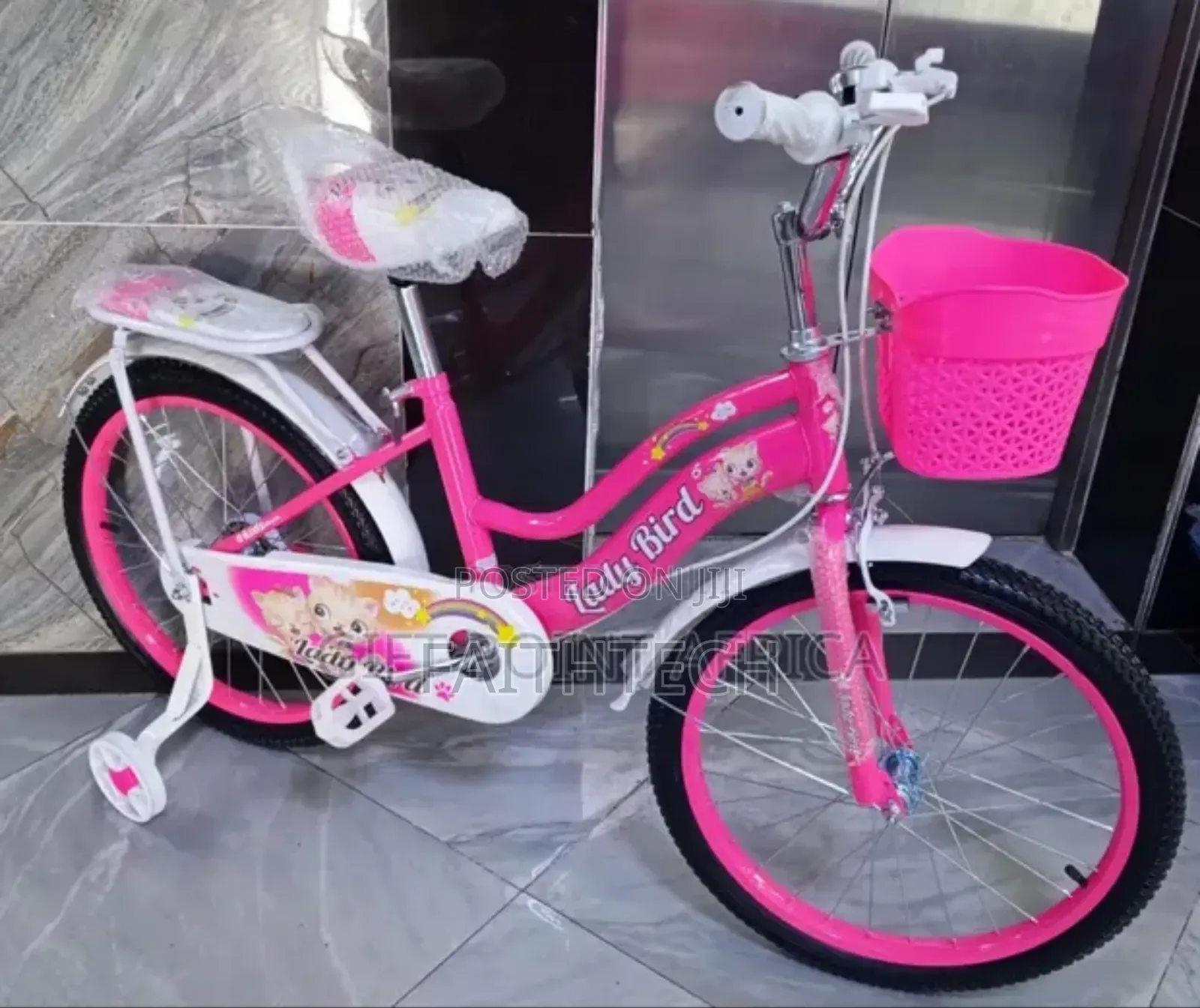 Size 20 Ladybird Bike