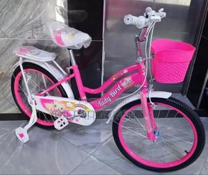 Size 20 Ladybird Bike