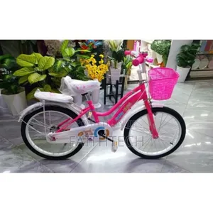 Size 20 Ladybird Bike