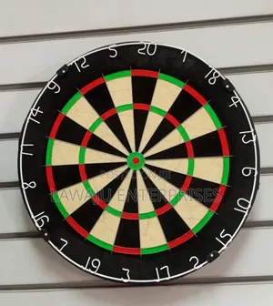 Professional Bristle Dart Board