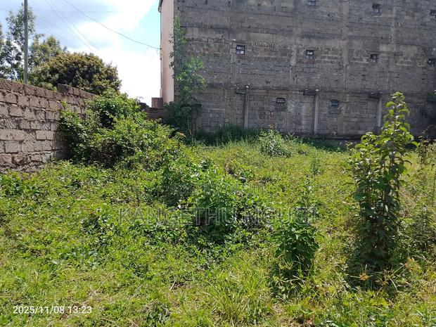 100 X 100 Plot Upper Kihingo, Kiambu Town - thumbnail 2