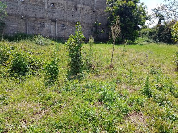 100 X 100 Plot Upper Kihingo, Kiambu Town - thumbnail 7