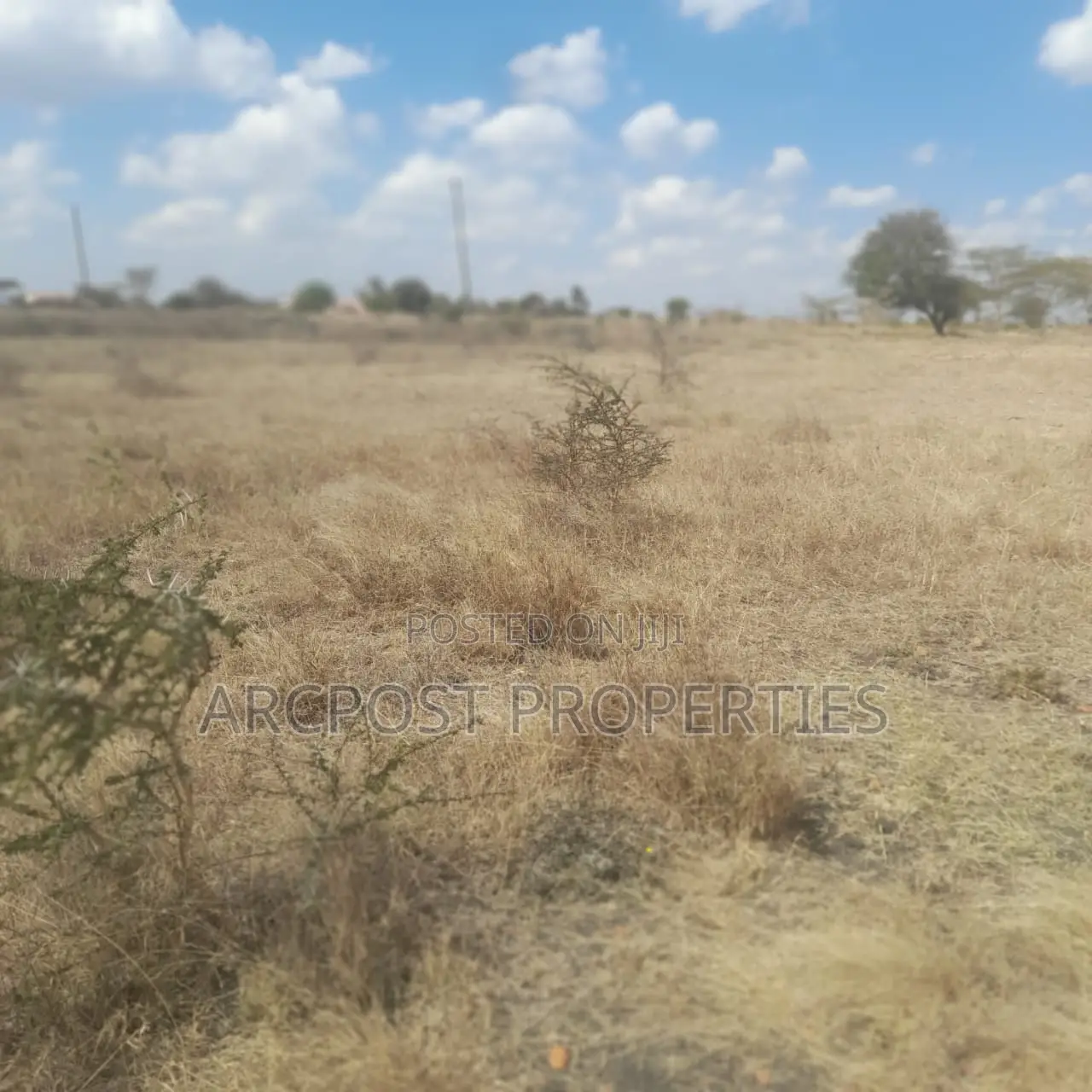Affordable 50x100 Plots for Sale – Old Konza City