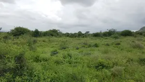 Prime Plot for Sale - Voi Kasarani With Ready Title Deeds