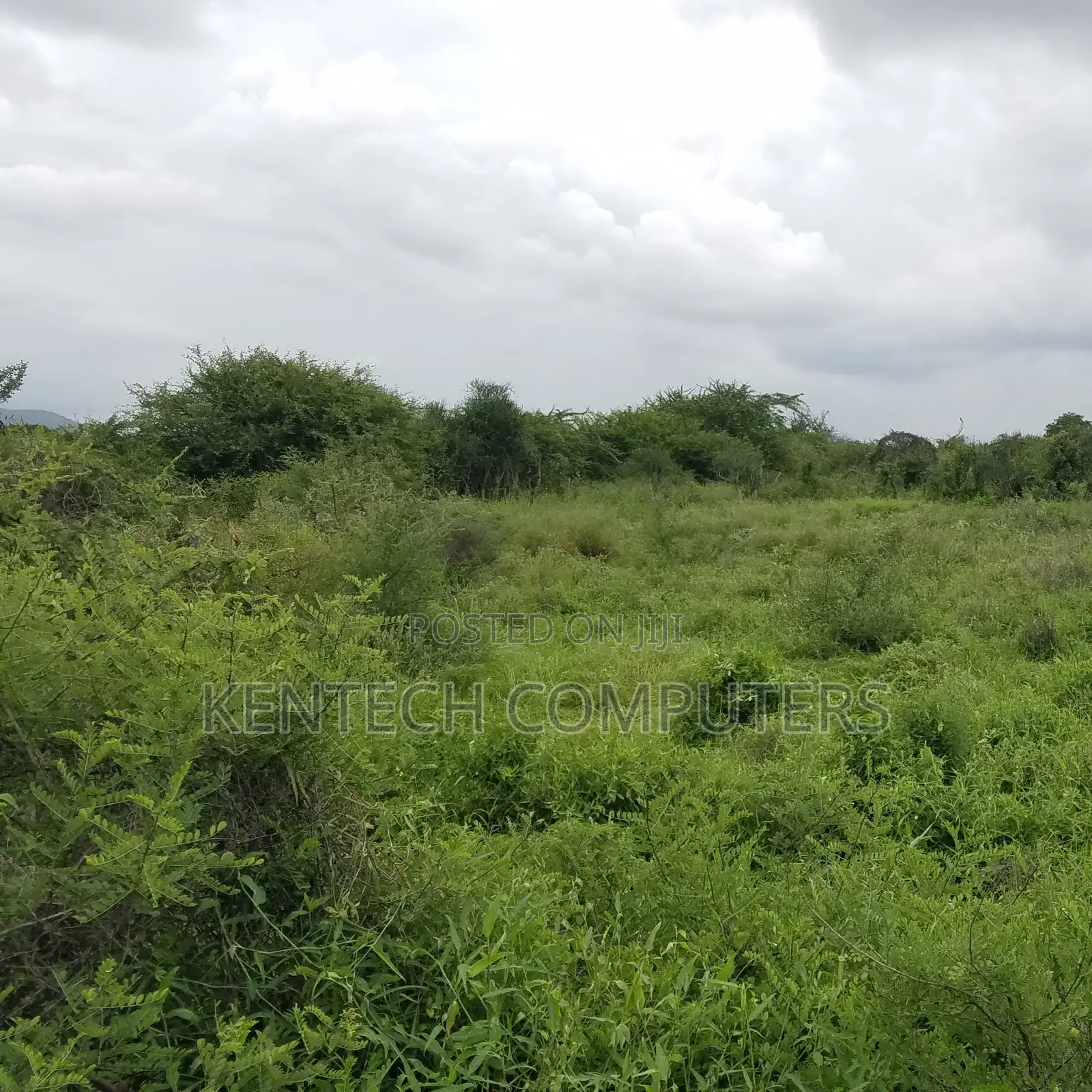 Prime Plot for Sale - Voi Kasarani With Ready Title Deeds