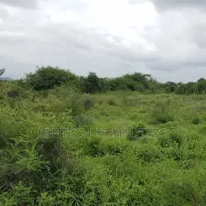 Prime Plot for Sale - Voi Kasarani With Ready Title Deeds