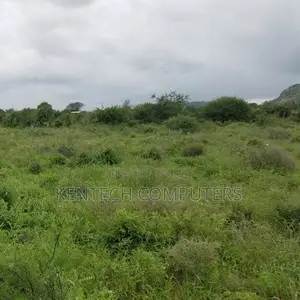 Prime Plot for Sale - Voi Kasarani With Ready Title Deeds
