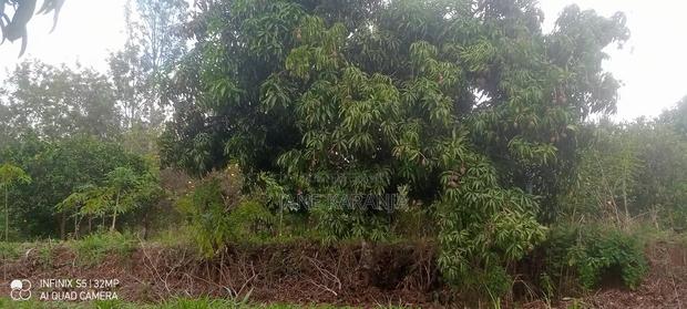 Prime Distress 2 Acres Makuyu Muranga County - thumbnail 6