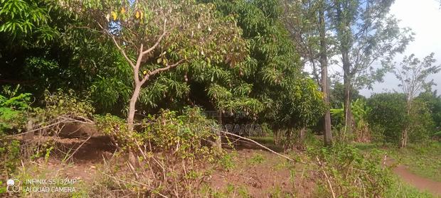 Prime Distress 2 Acres Makuyu Muranga County - thumbnail 7