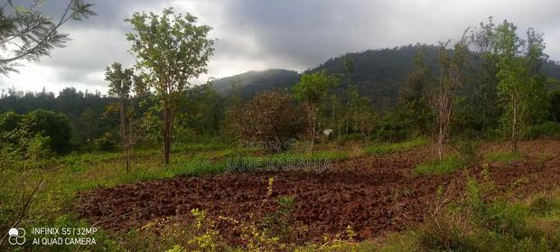 Prime Distress 2 Acres Makuyu Muranga County - thumbnail 8