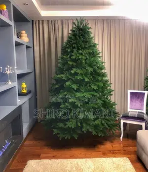 Beautiful Christmas Tree