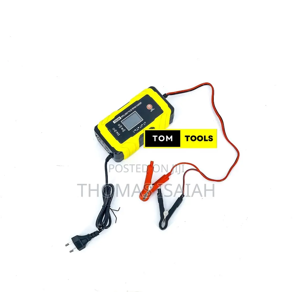 12v 24v Automatic Intelligent Battery Pulse Repair Trickle Charger