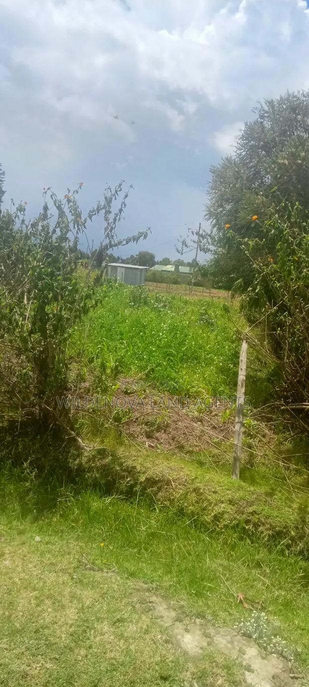 Plot for Sale - thumbnail 5